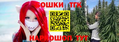 прущие крисы Гусев