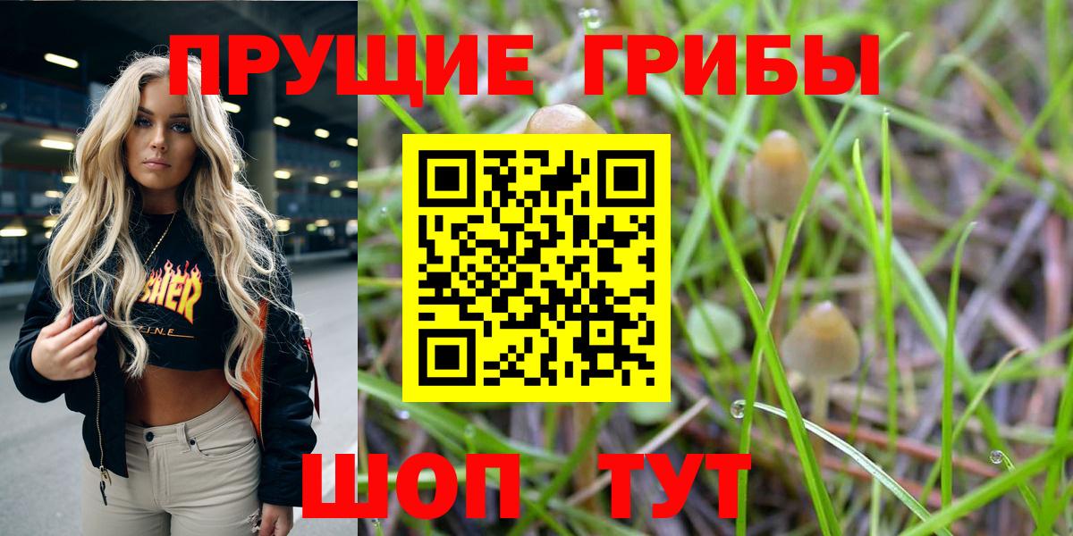 Галлюциногенные грибы Psilocybine cubensis Муром